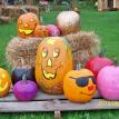 Selection of Painted Pumpkins
