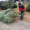 free trunk trimming on your Christmas tree